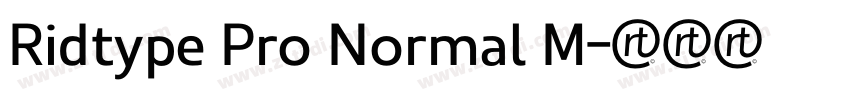 Ridtype Pro Normal M字体转换